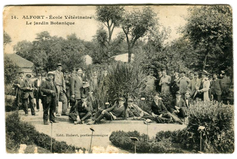 Photographie du Jardin Botanique de Maisons-Alfort en 1908 (Ecole Nationale Vétérinaire d’Alfort 2017). https://oatao.univ-toulouse.fr/19339/1/Dor_19339.pdf